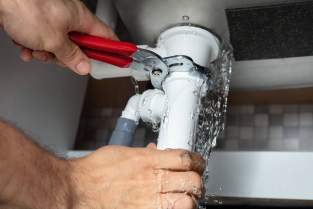 Best Mold removal after water damage  in Onset, MA