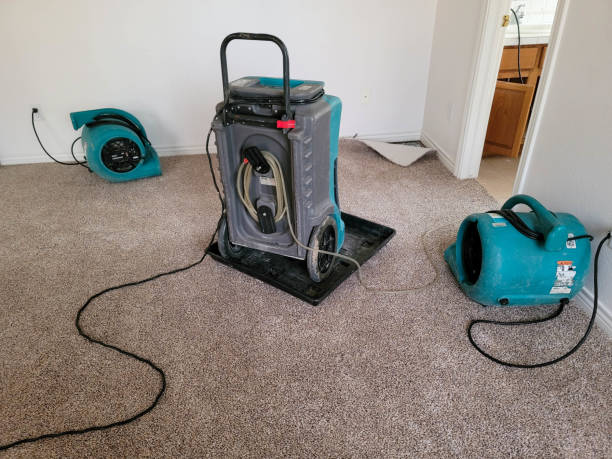Best Emergency water damage restoration  in Onset, MA