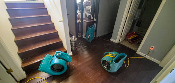Best Water damage contractors near me  in Onset, MA