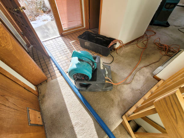 Best Water damage restoration company  in Onset, MA