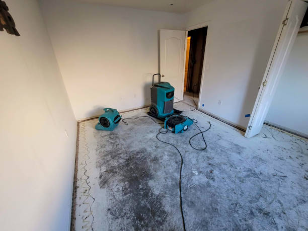 Best Water damage restoration near me  in Onset, MA