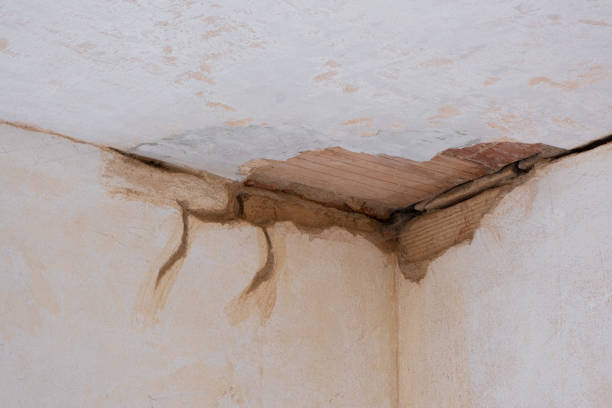 Best Sewage cleanup and water damage restoration  in Onset, MA