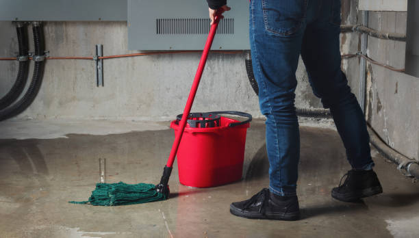 Best Water damage restoration near me  in Onset, MA