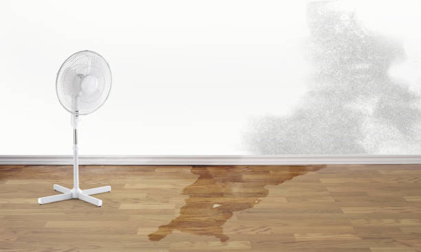 Best Flooded house restoration  in Onset, MA