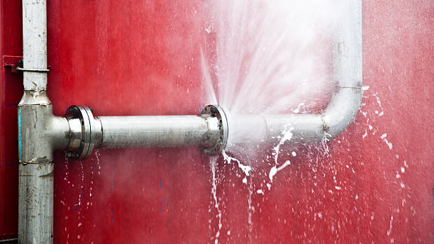 Best Mold removal after water damage  in Onset, MA